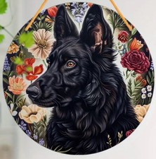 ALSATIAN LARGE German Shepherd