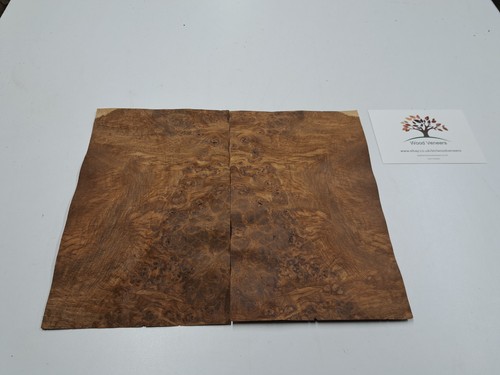 Burr brown oak - -, 2