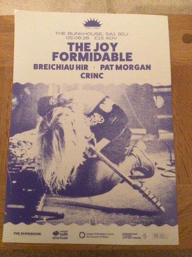 The joy formidable gig - gig, flyer