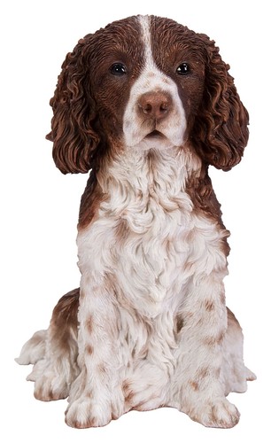 Vivid arts springer spaniel - arts,