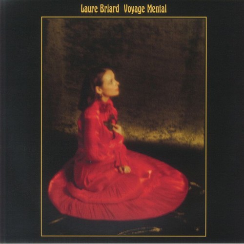 Briard laure voyage mental - briard,,