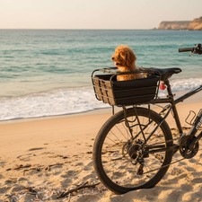 Cycle Dog Carrier Easy
