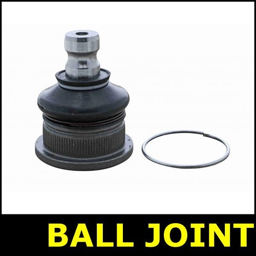 Ball joint front lower - joint,