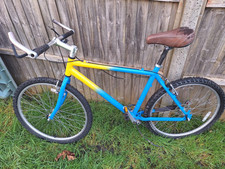 Retro Raleigh M Trax 250