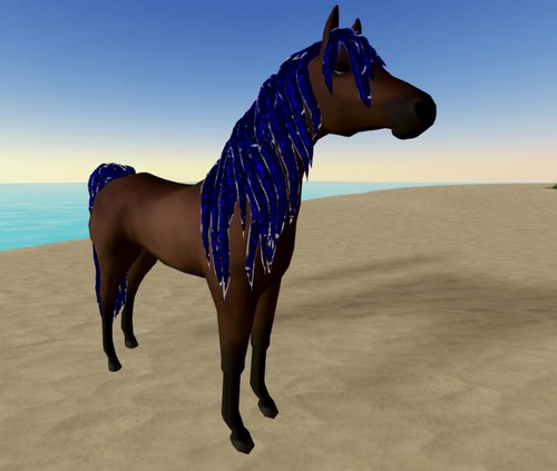 Wild horse islands iuh - horse,