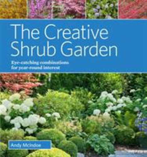 The creative shrub - shrub, garden