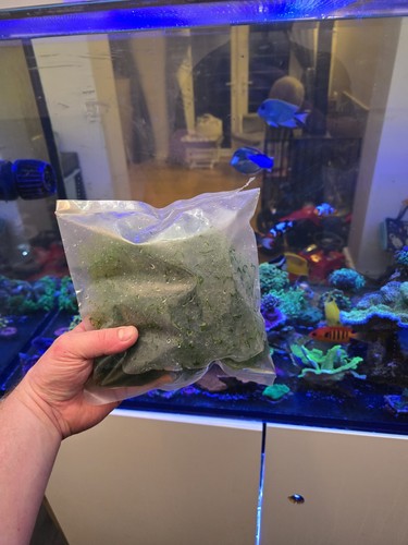 1ltr bag cheato - 1ltr, algae
