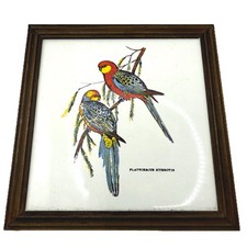 Vintage John Gould Platycercus