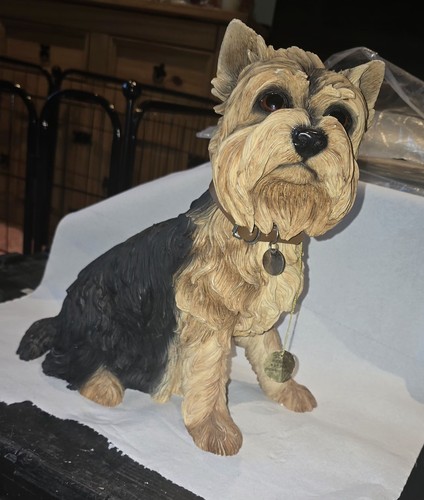 50cm high yorkshire terrier - 50cm,