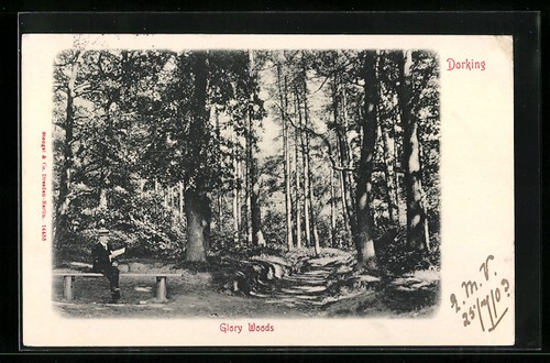 Dorking glory woods postcard - dorking,,