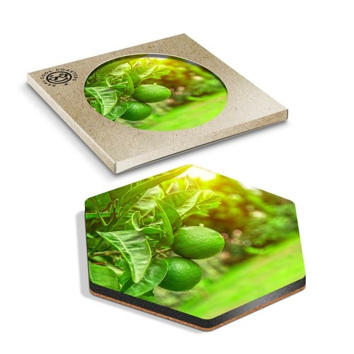 Hexagon coaster citrus - x,