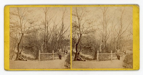 Stereoview stereoscope card - stereoview,