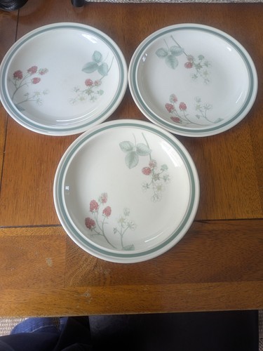 Wedgwood raspberry cane salad - wedgwood,