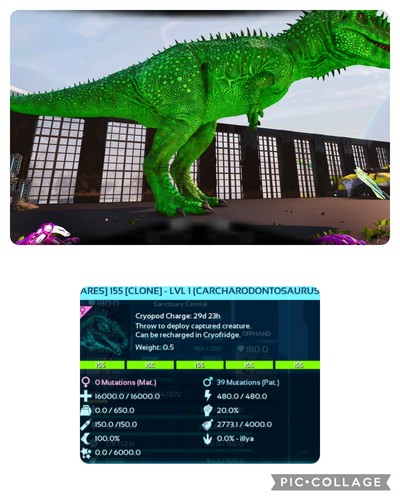 Ark survival ascended - survival,