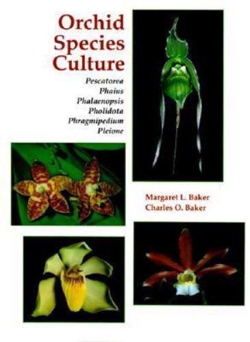 Orchid species culture - orchid,