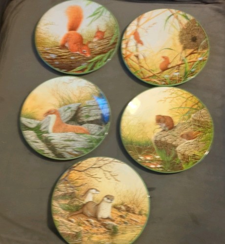 Royal doulton rollinsons - doulton,