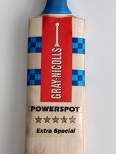 Vintage cricket bat gray - cricket,