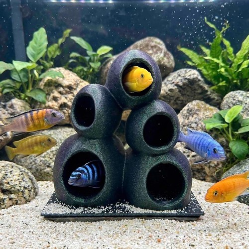 Cichlid stone cave aquarium - cichlid,