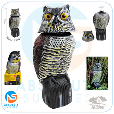 Helens decoy owl rotating - helens,