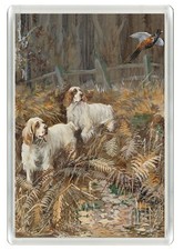 CLUMBER SPANIEL DOG FRIDGE