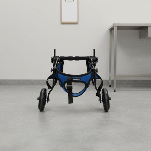 Dog recovery wheelchair - dog,