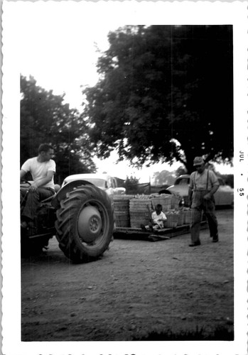 Farmer man family hauling - man,