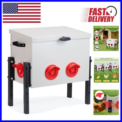 Lbs metal chicken feeder - lbs,