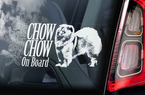 Chow car - car, dog