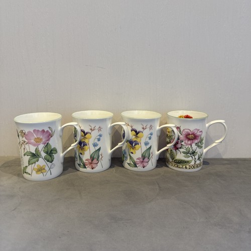 Rose england fine bone - 4x,