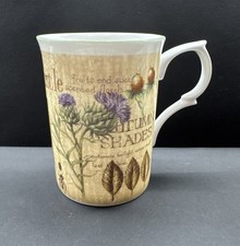 VINTAGE Rose of England Fine