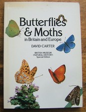 BUTTERFLIES AND MOTHS IN BRITAIN AND EUROPE. 192 PAGES, ABUNDANTLY ILLUSTRATED.