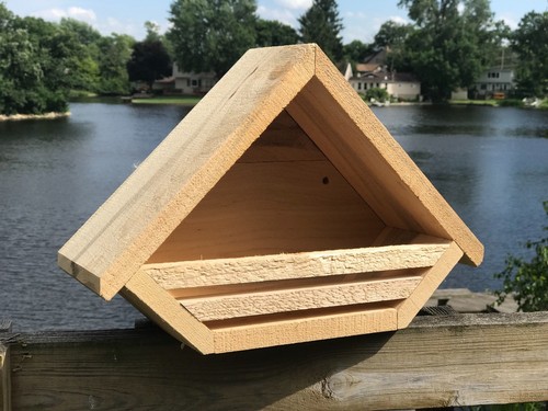Dove robin nesting box bird - dove,