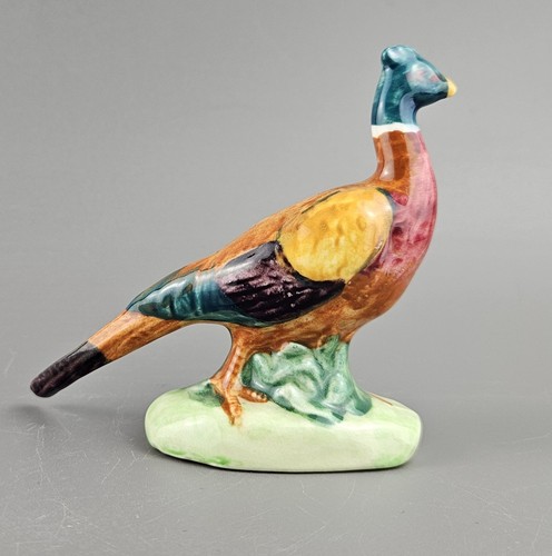 Pheasant curved tail pattern - tail,
