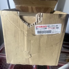 Yamaha Grizzly 550 Piston and cylinder