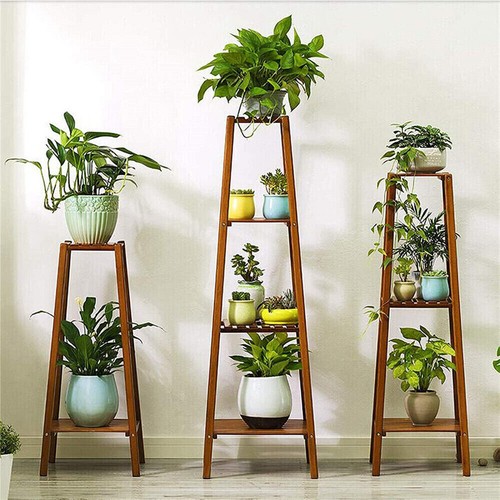 Tiered corner indoor plant - corner,