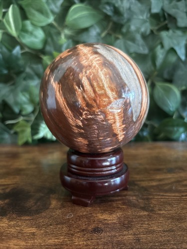 Rare petrified wood sphere - rare,