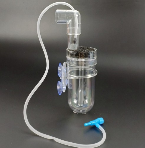 Egg tumbler fish - (like,