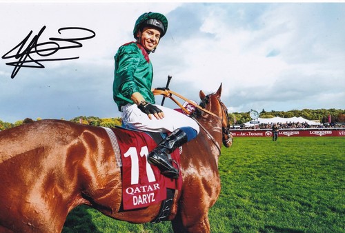 Horse racing mickael - horse,