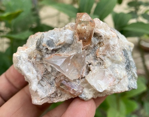 160 top quality - quality, peach