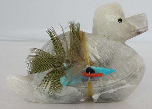 Big native american - american, duck