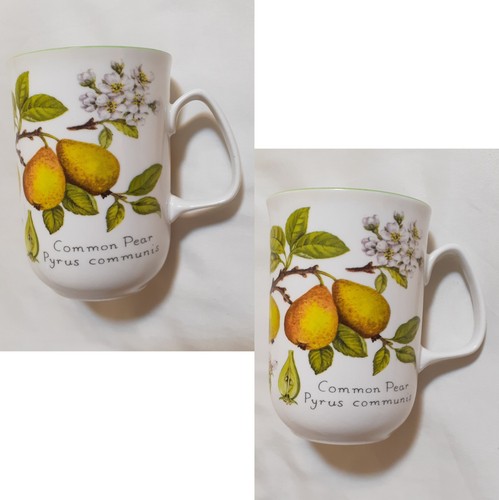 Set rose england pear - 2,