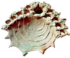 Smith turner london antique - turner,