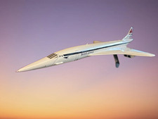 BRAVO DELTA MODELS The Iconic