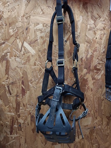 Greenguard grazing muzzle - greenguard,