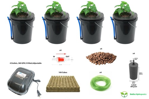 Hydroponics deep water culture - hydroponics,