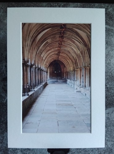 Cathedral cloisters norwich - cathedral, cloisters,