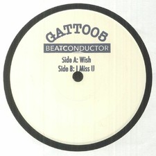 BEATCONDUCTOR - Wish - Vinyl