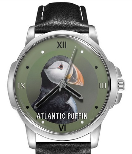 Atlantic puffin bird leather - bird,