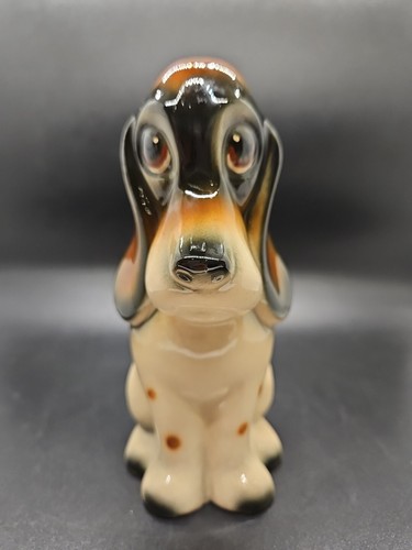 Basset hound dog jema - basset,