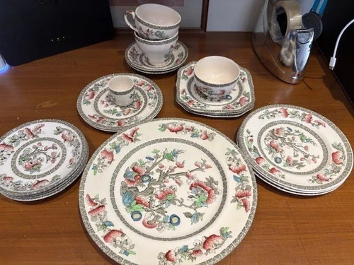Johnson johnsbros indian tree - johnson,